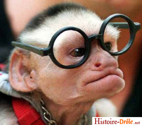 Avatar de l’utilisateur