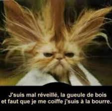 Avatar de l’utilisateur