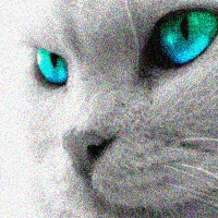 Avatar de l’utilisateur